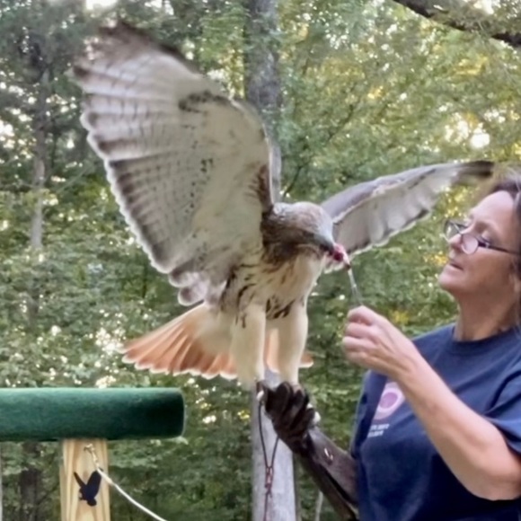 Meet your Posher, Suzanne - Picture 1 of 6